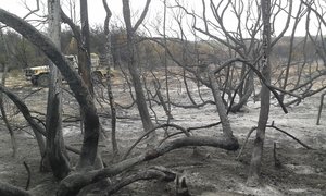 Western Cape Summer Fire Season comes to an end